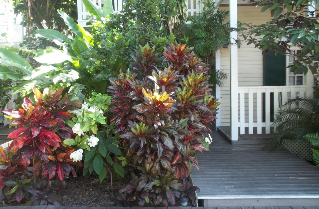 Duval House Bed and Breakfast Key West Buitenkant foto